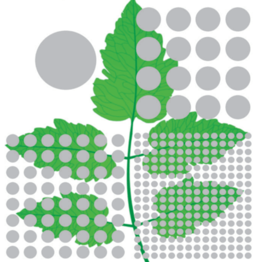 A uniformidade de aplicação do defensivo na superfície das plantas depende do diâmetro de gota formada pelo pulverizador.