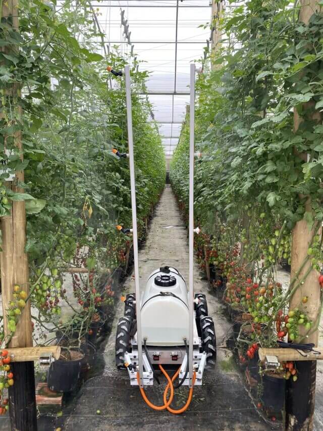 AGR 125, o robô autônomo agrícola da Agrobotz, pulverizando uma estufa de tomate.